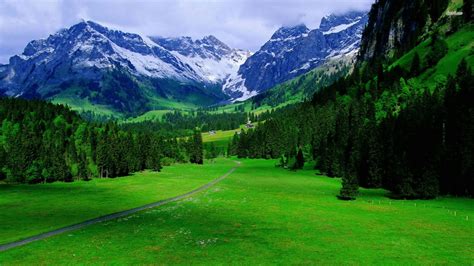 Greenery Swiss Alps Mountain With Fog Hd Nature Wallpapers Hd