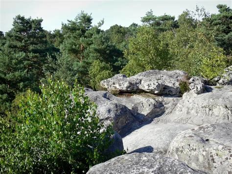 Bilder Der Wald Von Fontainebleau Führer Tourismus And Urlaub