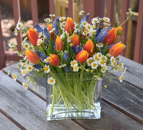 Spring Flower Arrangement With Tulips Grape Hyacinth And Chamomile