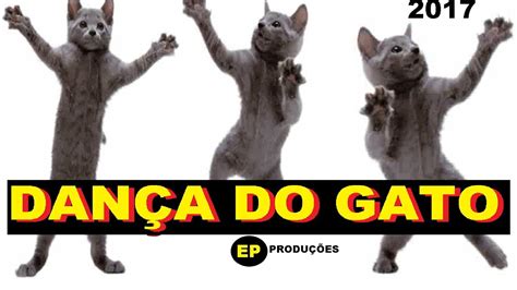 Dança Do Gato 2017 Youtube