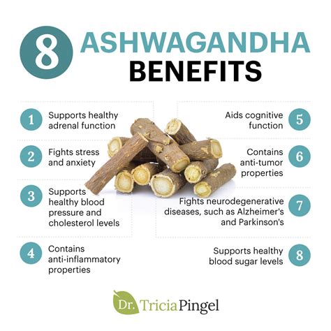 Ashwagandha Benefits And Uses 8 Ashwagandha Benefits Dr Pingel