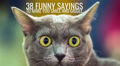 Funny Sayings To Make You Smile And Giggle