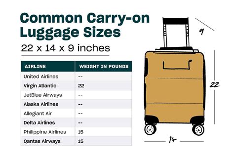 a carry on luggage size guide by airline 2023