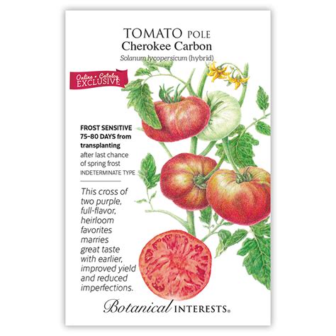 Tomato Pole Cherokee Carbon Tomato Seeds Sustainable Organic Q8