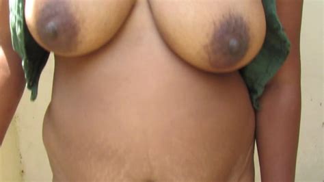tamil aunty tits like back 31 pics xhamster