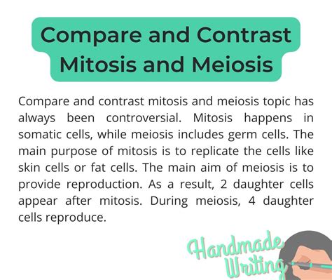 Essay Sample Mitosis And Meiosis Handmade Writing Blog
