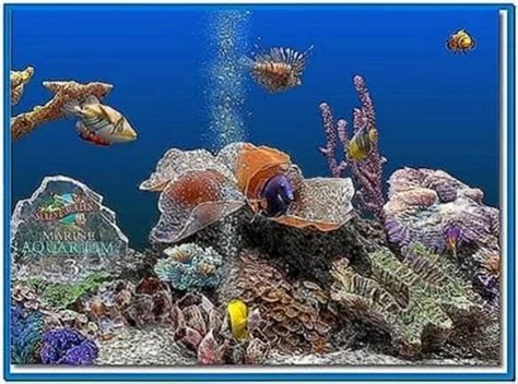 Marine Aquarium Deluxe 30 Screensaver Download Screensaversbiz