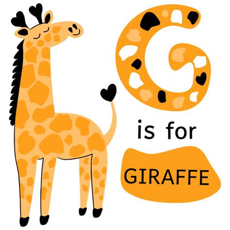 250 Animal Alphabet Letter G For Giraffe Illustrations Royalty Free
