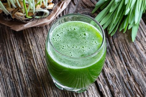 Mar 05, 2015 · barley grass juice powder comes from the tender young grass grown from barley seed, harvested when it's at the peak of its chlorophyll, protein and vitamin concentration, before the grass produces any grain. A glass of barley grass juice with y | High-Quality Health Stock Photos ~ Creative Market