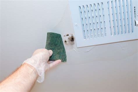 How To Clean Mold Off Of The Ceiling Homesteady Cleaning Mold