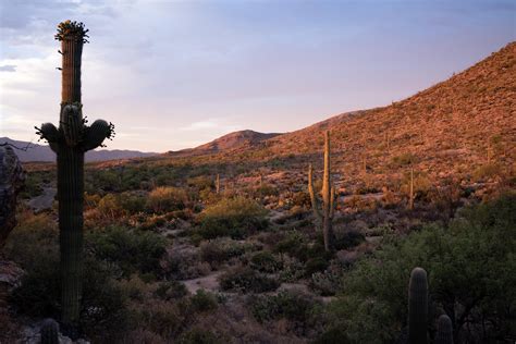 The Eastern Side Of Saguaro National Park Taken At Sunset This Past