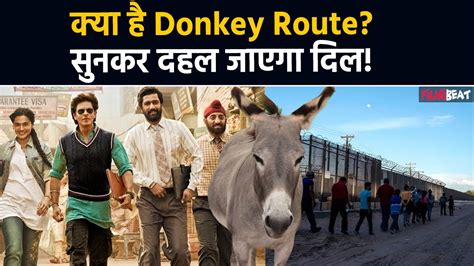 Dunki Donkey Route Story Illegal Immigration Reality Of Donkey