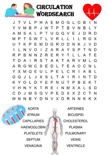 Biology Word Search Circulatory System Includes Bloodvessels And
