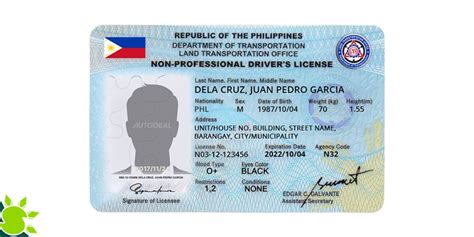 Philippines Driver License Psd Template Aslitheme Vrogue Co