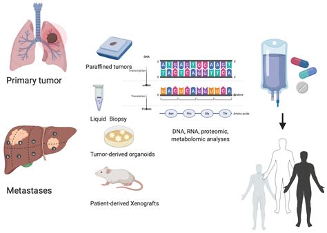 Cancers Free Full Text Personalized Medicine Recent Progress In