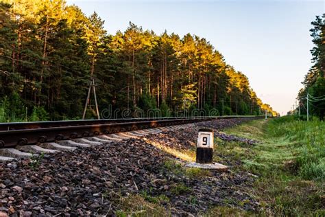 Summer Landscape With A View Of Rural Railway Passing Through Forest
