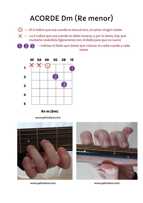 Acordes BÁsicos De Guitarra Para Principiantes