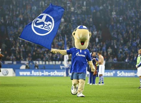 Sofort rannte das schalker maskottchen auf den platz. Das ist Schalkes Knappe "Erwin". Die Spieler des FC ...