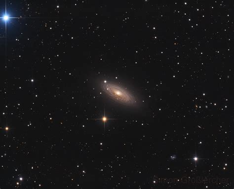Ngc 2841 Spiralgalaxie Im Großen Bären Spektrum Der Wissenschaft