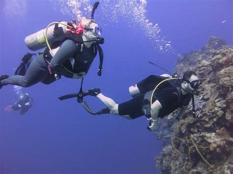 Scuba Diving Cozumel 15