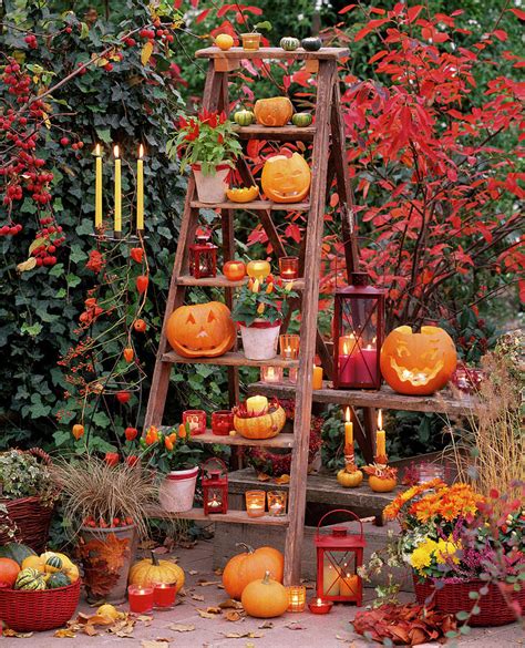 Wooden Ladder With Pumpkins Halloween Photograph By Friedrich Strauss