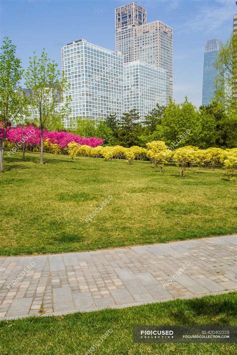 Scène De Parc Urbain Avec Verdure Et Bâtiments Chine — Vert