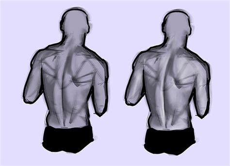 How To Draw The Human Back A Step By Step Construction Guide Gvaats