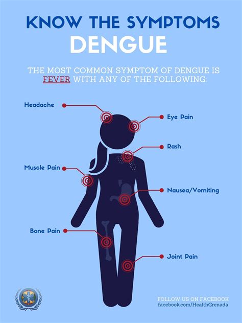 Symptoms Of Severe Dengue Watch For Signs And Symptoms Of Severe