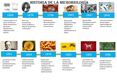 Linea Del Tiempo Microobiologia Microbiología Studocu