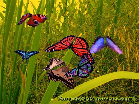 3d Amazing Butterfly Screensaver Let Your Spirits Rise With Each Flap