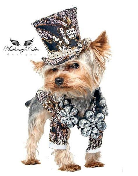 13 Dogs Wearing Top Hats Ideas Dogs Dog Wear Doggy