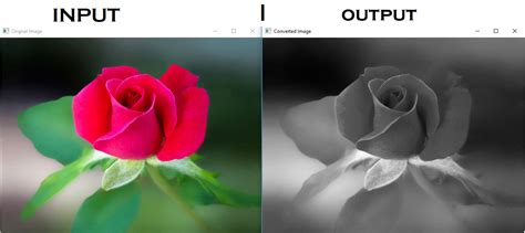 How To Convert Color Image To Grayscale In Opencv With Python Akash Riset