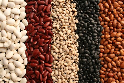 Types Of Beans To Meet Your Protein Needs Best Health Canada