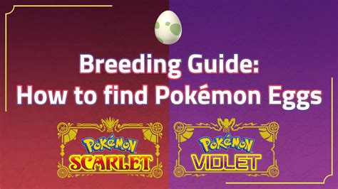 Breeding Guide How To Find Pokémon Eggs In Pokémon Scarlet And Violet