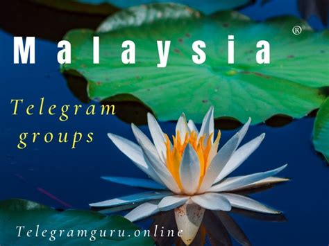 Perkongsian ilmu asas pasaran saham. Malaysia telegram groups 2020 - groups 2020 - Telegram Guru