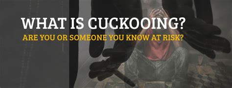 What You Need To Know About Cuckooing Are You Or Someone You Know At Risk