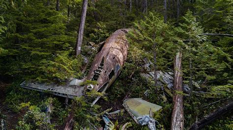 Hd Wallpaper Wrecked Plane In Forest During Daytime Wreckage Crash