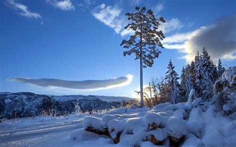 Roads Nature Landscapes Mountains Trees Winter Snow Hill Sky