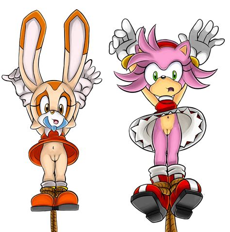 Rule 34 Amy Rose Cream The Rabbit No Panties Sonic Series Upside Down Upskirt 916173