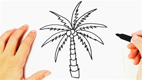 How To Draw A Palm Tree Palm Tree Easy Draw Tutorial Youtube
