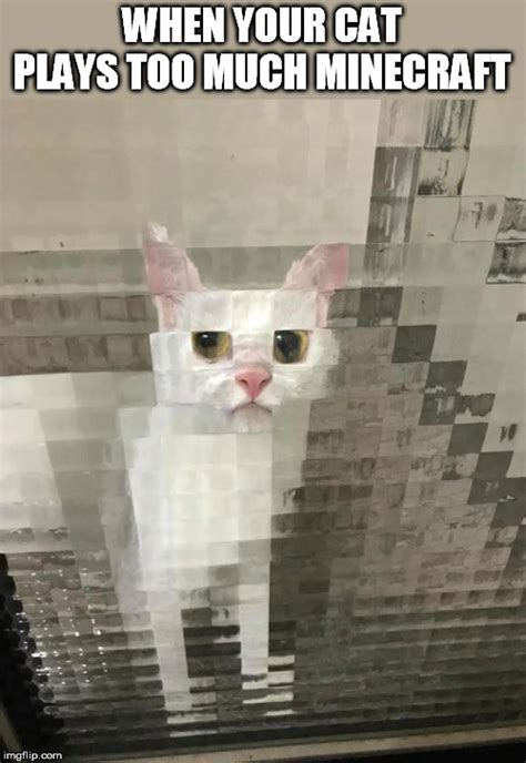 Realistic Cat Meme Minecraft Skin Rsmaz