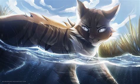 Hawkfrost Warrior Cats Warrior Cats Fan Art Warrior Cats Books