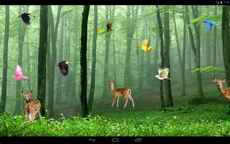 50 Forest Live Wallpaper Wallpapersafari