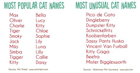 We can't leave an interest unaddressed! Talking Dogs at For Love of a Dog: Whats in a Cat Name