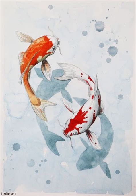 Two Orange And White Koi Fish Swimming In Blue Water With Bubbles On