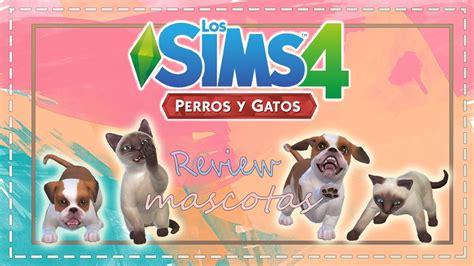 ¡review Crear Una Mascota Los Sims 4 Perros Y Gatos Allsims Youtube