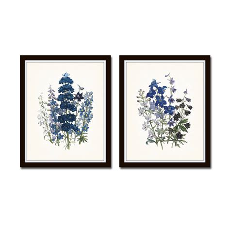 Blue Botanical Print Set No 11 Botanical Prints Giclee Art Etsy