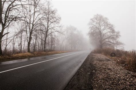 Road In Autumn Foggy Forest In Rainy Day Landscape With Empty Asphalt