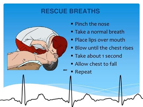 Basic Life Support