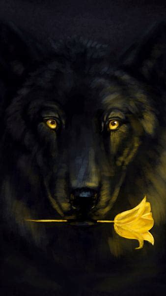 Black Wolf With Yellow Eyes Wallpaper